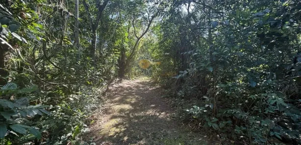 Fazenda / Sítio / Chácara à venda, 124000m² no Parque Nossa Senhora da Ajuda, Guapimirim