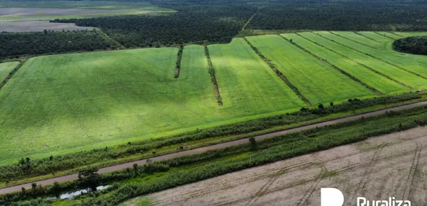 Fazenda / Sítio / Chácara à venda, 4244m² no , Pium
