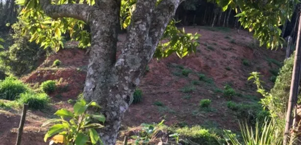 Terreno / Lote / Condomínio à venda, 823m² no Bingen, Petrópolis