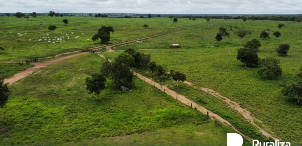 Fazenda / Sítio / Chácara à venda, 650m² no , Cristalândia