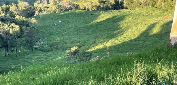 Fazenda / Sítio / Chácara com 3 Quartos à venda, 30250m² no , Guaraniaçu