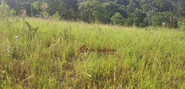 Fazenda / Sítio / Chácara à venda, 5072m² no Arataba, Louveira