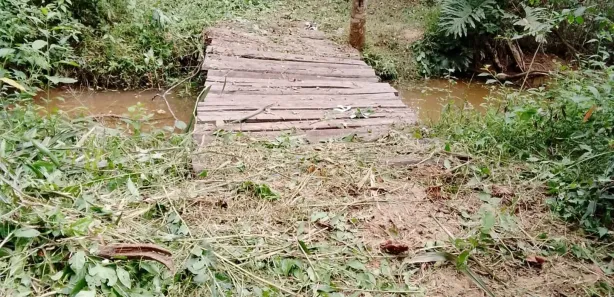 Fazenda / Sítio / Chácara à venda, 48m² no Jardim Flórido, Capivari