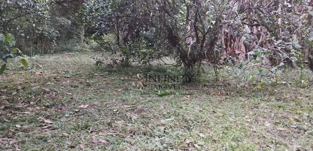 Fazenda / Sítio / Chácara com 2 Quartos à venda, 100m² no Vila Velha, Caçapava