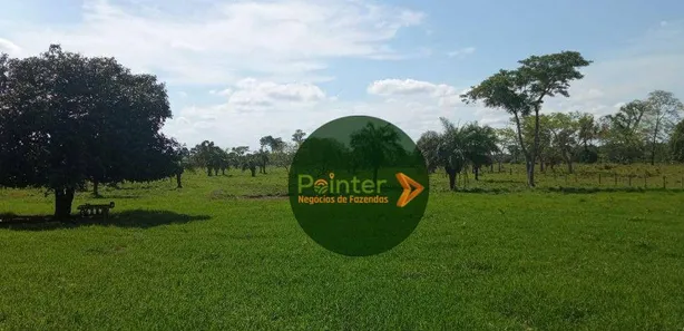 Fazenda / Sítio / Chácara à venda, 2041875m² no , Pium