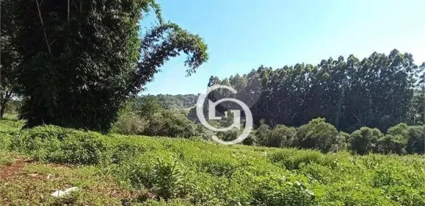Fazenda / Sítio / Chácara com 1 Quarto à venda, 39970m² no Universitário, Cascavel