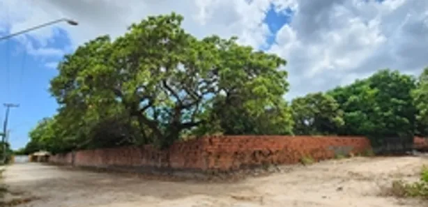 Terreno / Lote / Condomínio para alugar, 9800m² no Coaçu, Eusébio