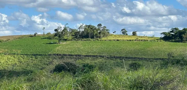 Fazenda / Sítio / Chácara à venda, 330000m² no , Sairé