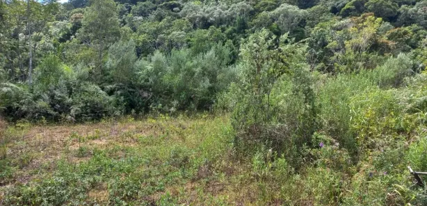 Terreno / Lote / Condomínio à venda, 3780m² no , Águas Mornas