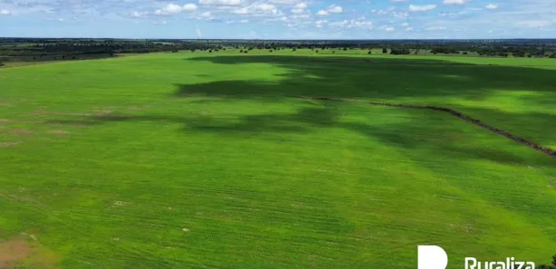Fazenda / Sítio / Chácara à venda, 2100m² no , Pium
