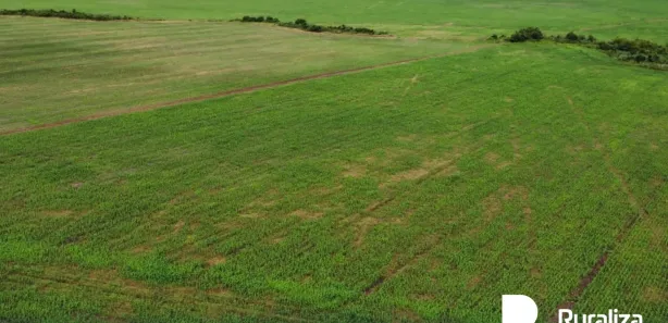 Fazenda / Sítio / Chácara à venda, 2731m² no , Santa Maria do Tocantins