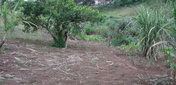 Terreno / Lote / Condomínio à venda, 26742m² no Jardim Petrópolis, Cotia