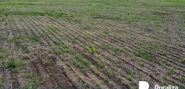 Fazenda / Sítio / Chácara à venda, 2731m² no , Santa Maria do Tocantins