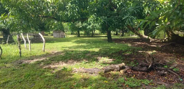 Fazenda / Sítio / Chácara à venda, 1m² no , Paranã