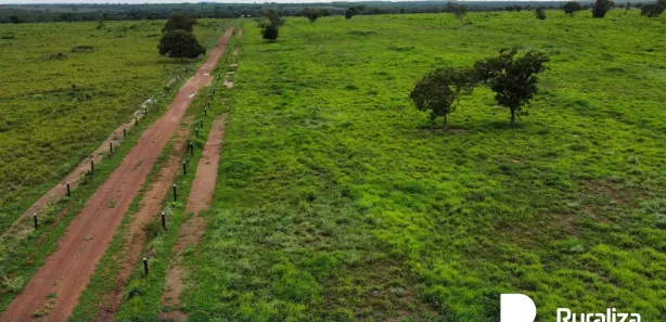 Fazenda / Sítio / Chácara à venda, 650m² no , Cristalândia