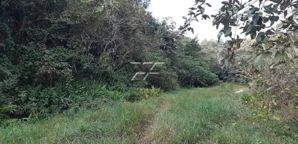 Fazenda / Sítio / Chácara à venda, 40753m² no Centro, Ipeúna