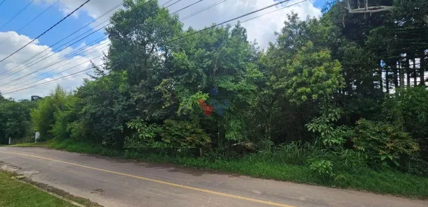 Fazenda / Sítio / Chácara com 1 Quarto à venda, 11000m² no São Miguel, Almirante Tamandaré