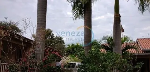 Fazenda / Sítio / Chácara com 2 Quartos à venda, 600m² no Assaí, Assaí