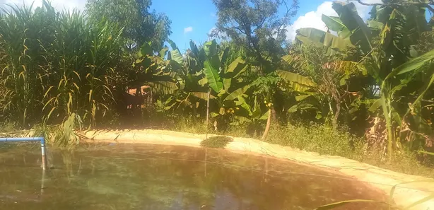 Fazenda / Sítio / Chácara com 2 Quartos à venda, 5000m² no , Brasília