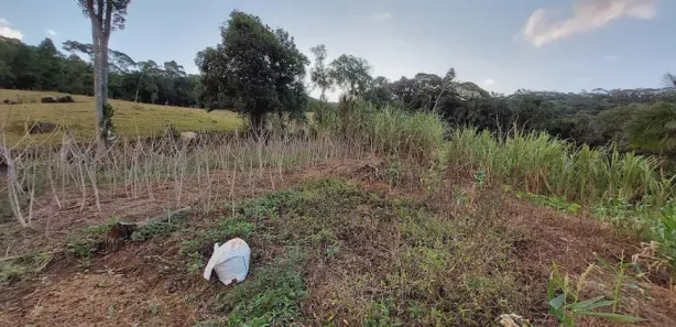 Fazenda / Sítio / Chácara com 2 Quartos à venda, 3000m² no , Águas Mornas