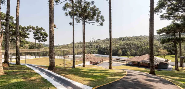 Fazenda / Sítio / Chácara à venda, 11734m² no Santa Gema, Colombo