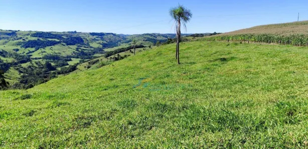 Fazenda / Sítio / Chácara à venda, 150m² no , Guaraniaçu