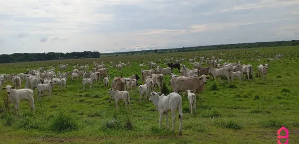 Fazenda / Sítio / Chácara com 1 Quarto à venda, 130m² no , Formoso do Araguaia