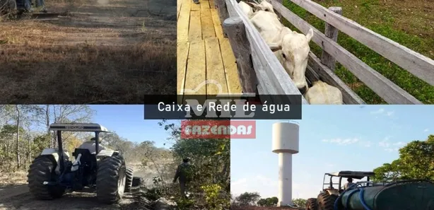 Fazenda / Sítio / Chácara à venda, 500m² no , Paranã