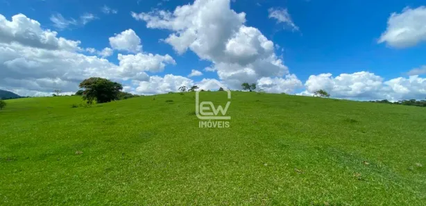 Fazenda / Sítio / Chácara com 1 Quarto à venda, 62630m² no Patrimônio, Massaranduba
