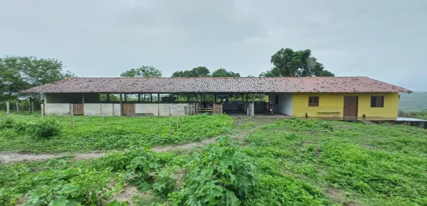 Fazenda / Sítio / Chácara com 11 Quartos à venda, 1000m² no , Pombos