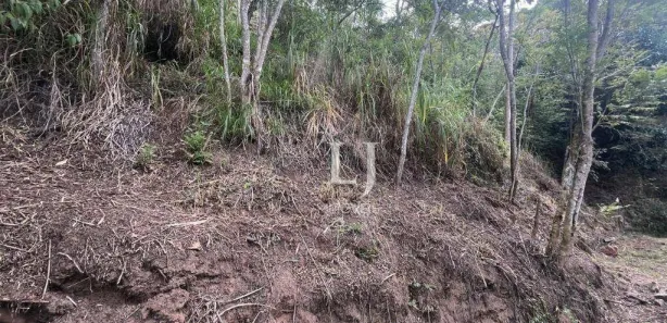 Terreno / Lote / Condomínio à venda, 772m² no Pedro do Rio, Petrópolis