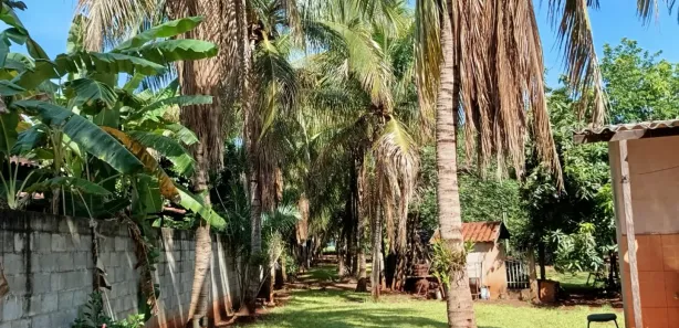 Fazenda / Sítio / Chácara com 4 Quartos à venda, 236m² no Alvorada do Sul, Alvorada do Sul