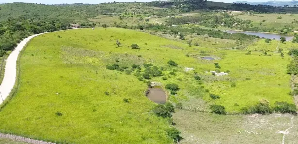 Fazenda / Sítio / Chácara à venda, 61000m² no , Sairé