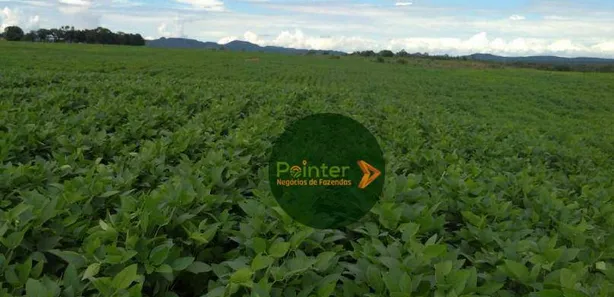 Fazenda / Sítio / Chácara à venda, 15972000m² no Área Rural de Gurupi, Gurupi