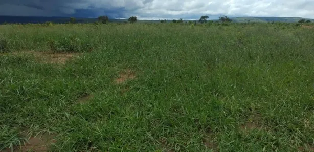 Fazenda / Sítio / Chácara à venda, 66600000m² no Centro, Barra do Garças