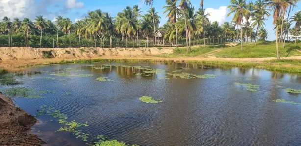 Terreno / Lote / Condomínio à venda, 205m² no , Barra dos Coqueiros