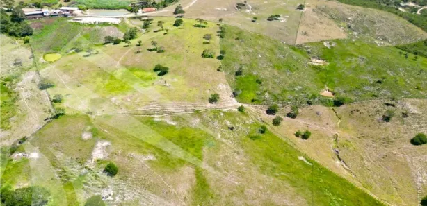 Fazenda / Sítio / Chácara com 3 Quartos à venda, 220000m² no , Sairé