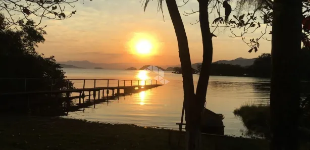 Fazenda / Sítio / Chácara com 4 Quartos à venda, 420m² no Das Laranjeiras, São Francisco do Sul