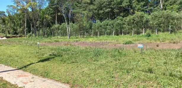 Terreno / Lote / Condomínio à venda, 384m² no Araçatuba, Campina Grande do Sul