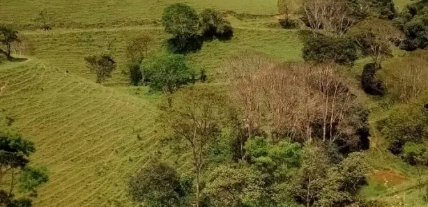 Fazenda / Sítio / Chácara à venda, 12900000m² no , São José da Laje
