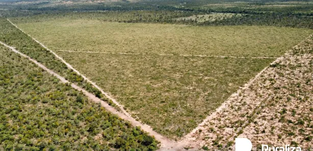 Fazenda / Sítio / Chácara à venda, 3025m² no , Rio Sono