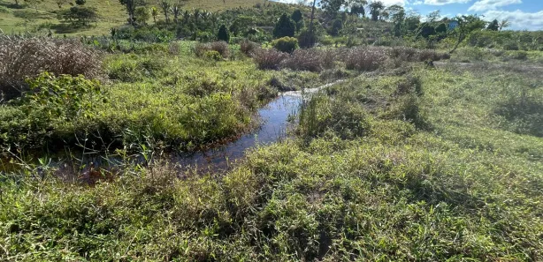 Fazenda / Sítio / Chácara à venda, 330000m² no , Sairé