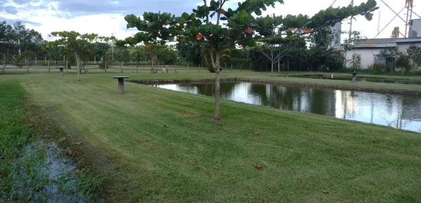 Loja / Salão / Ponto Comercial à venda, 9900m² no Centro, Guaratinguetá