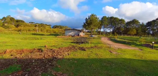 Fazenda / Sítio / Chácara à venda, 32800m² no , Tijucas do Sul