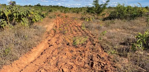 Fazenda / Sítio / Chácara com 3 Quartos à venda, 232m² no Setor Serrano, Paraíso do Tocantins