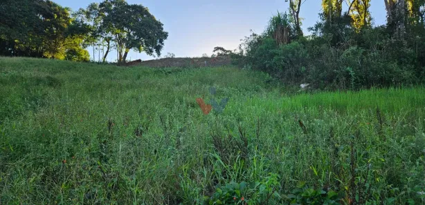 Fazenda / Sítio / Chácara com 1 Quarto à venda, 10975m² no Área Rural de Araucária, Araucária