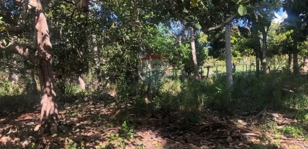 Terreno / Lote / Condomínio à venda, 9236m² no Caititus, Arapiraca