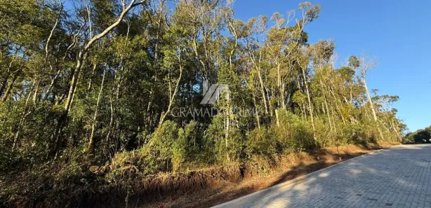 Terreno / Lote / Condomínio à venda, 450m² no Carniel, Gramado