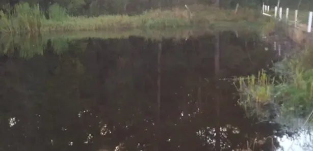 Fazenda / Sítio / Chácara com 3 Quartos à venda, 150m² no , Pilar do Sul