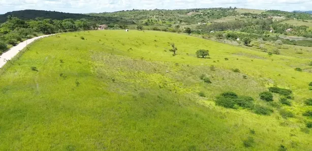 Fazenda / Sítio / Chácara à venda, 61000m² no , Sairé